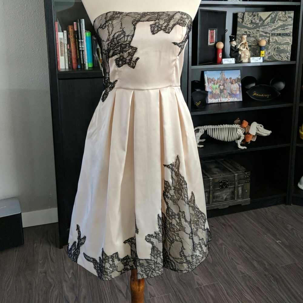 Max & Cleo poly-satin and lace dress